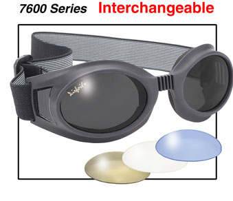 Interchangeable Goggles